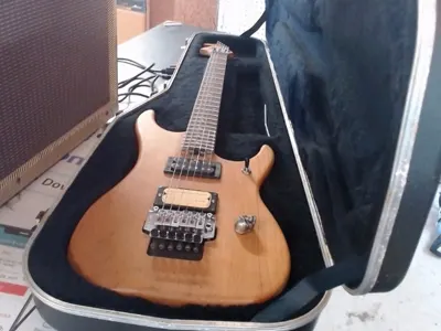 Washburn Electric Guitar N2 with Hrdcase 9A