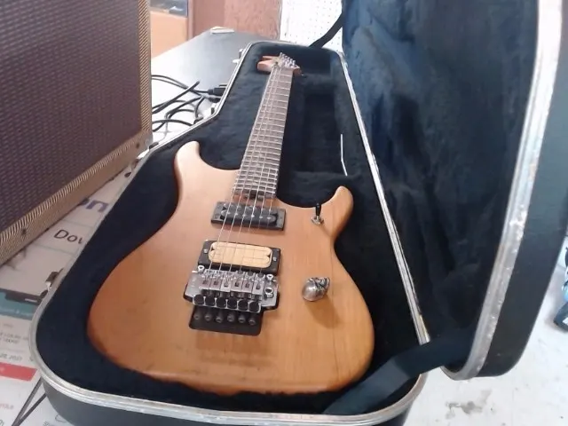 Washburn Electric Guitar N2 with Hrdcase 9A