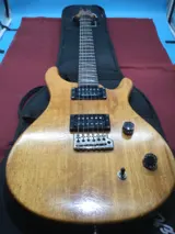 Paul Reed Smith - Prs Electric Guitar with Case photo 1