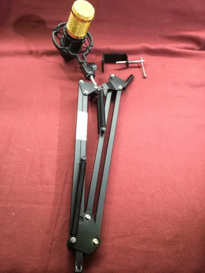 Microphone and Arm Stand