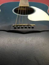 Ibanez Electric-Acoustic Guitar SGT220 photo 4