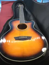 Washburn EA15 Electric-Acoustic Guitar with Gig Bag photo 1