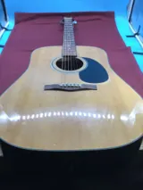 Fender Acoustic Guitar DG31S photo 1