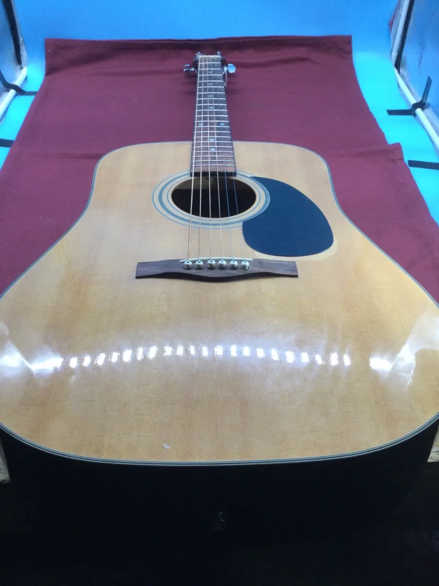 Fender Acoustic Guitar DG31S