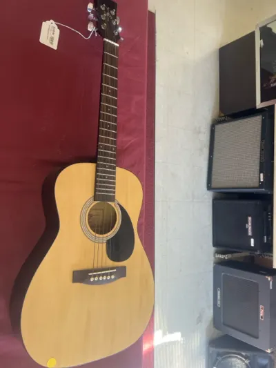 Acoustic Guitar Jay Turser JR