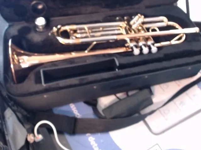 Ravel by Blessing Trumpet